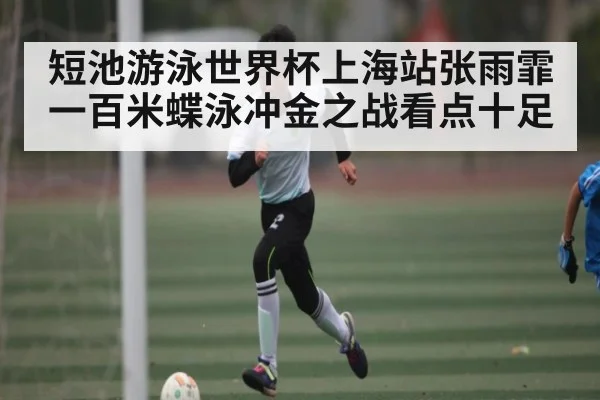 短池游泳世界杯上海站张雨霏一百米蝶泳冲金之战看点十足